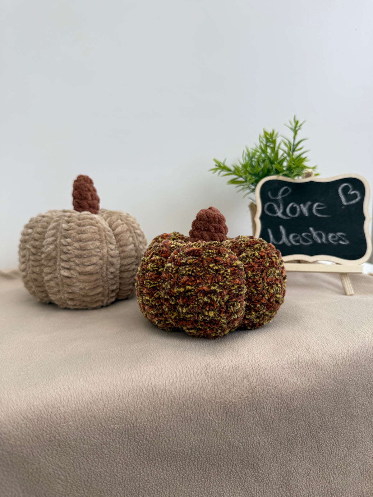 Kürbis in klein und groß